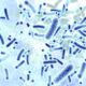 Legionella_pneumophila Foto: AdobeStock rgpilch